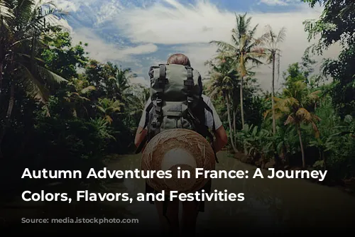 Autumn Adventures in France: A Journey Through Colors, Flavors, and Festivities