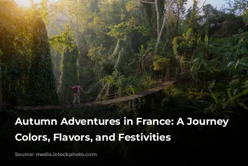 Autumn Adventures in France: A Journey Through Colors, Flavors, and Festivities