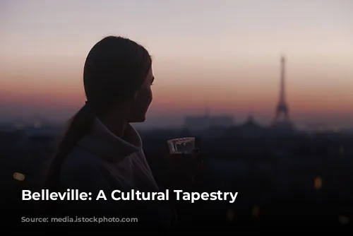 Belleville: A Cultural Tapestry