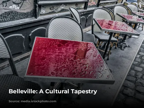 Belleville: A Cultural Tapestry