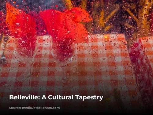 Belleville: A Cultural Tapestry