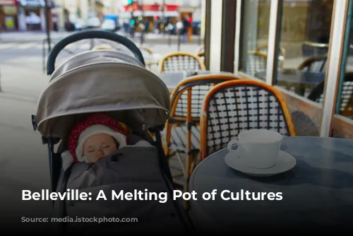 Belleville: A Melting Pot of Cultures