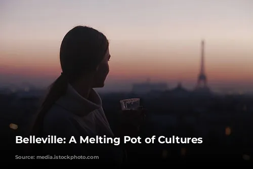 Belleville: A Melting Pot of Cultures