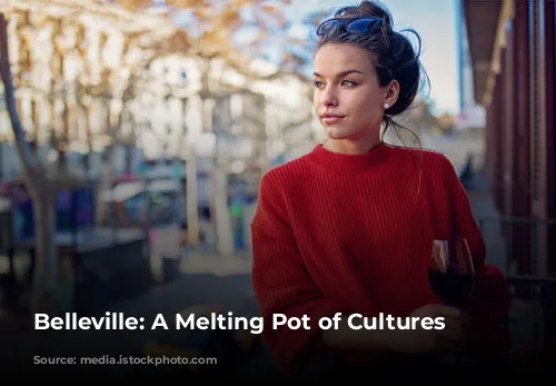 Belleville: A Melting Pot of Cultures