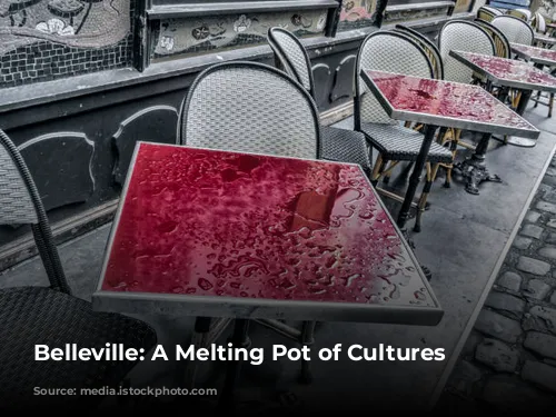 Belleville: A Melting Pot of Cultures