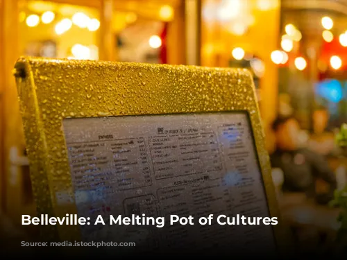 Belleville: A Melting Pot of Cultures