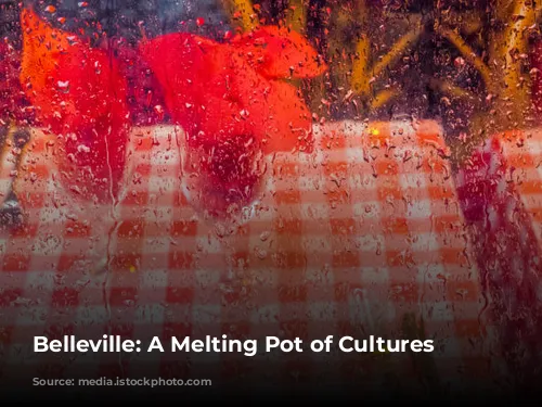 Belleville: A Melting Pot of Cultures