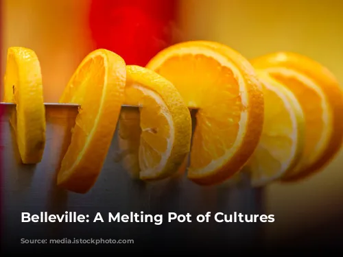 Belleville: A Melting Pot of Cultures