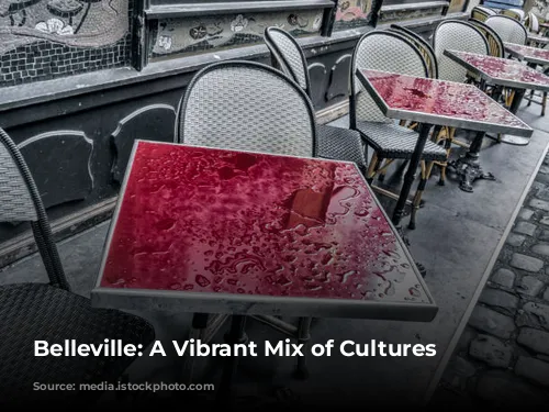 Belleville: A Vibrant Mix of Cultures