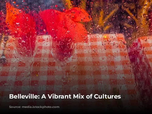 Belleville: A Vibrant Mix of Cultures