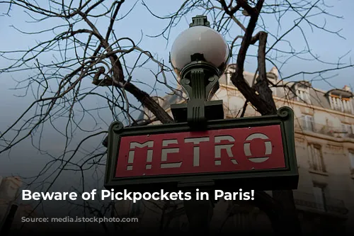 Beware of Pickpockets in Paris!