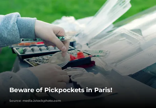 Beware of Pickpockets in Paris!