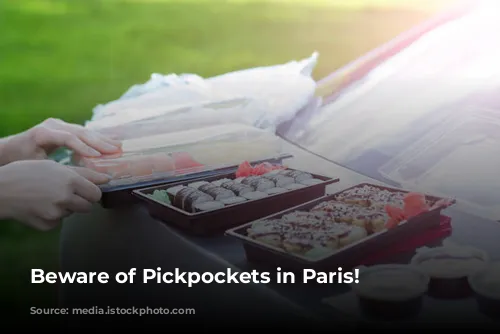 Beware of Pickpockets in Paris!