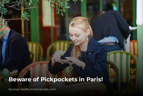 Beware of Pickpockets in Paris!