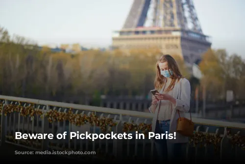 Beware of Pickpockets in Paris!