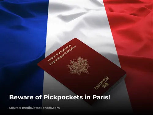 Beware of Pickpockets in Paris!