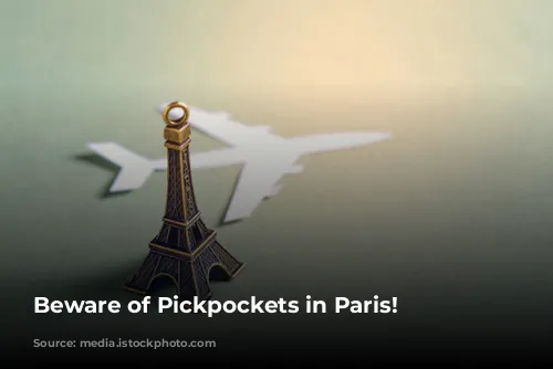 Beware of Pickpockets in Paris!