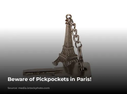 Beware of Pickpockets in Paris!