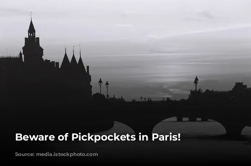 Beware of Pickpockets in Paris!