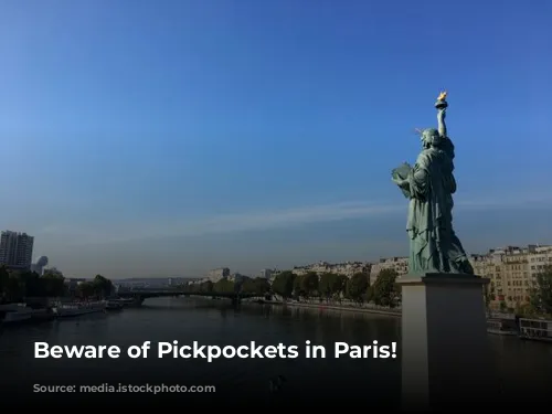 Beware of Pickpockets in Paris!