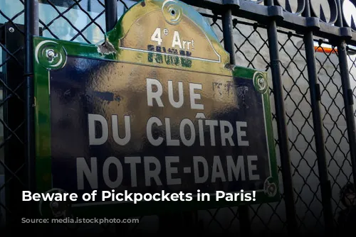 Beware of Pickpockets in Paris!