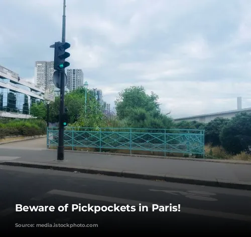 Beware of Pickpockets in Paris!