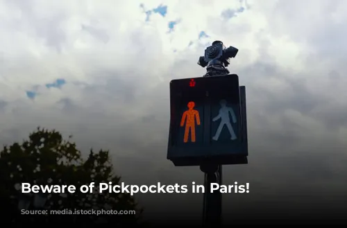 Beware of Pickpockets in Paris!