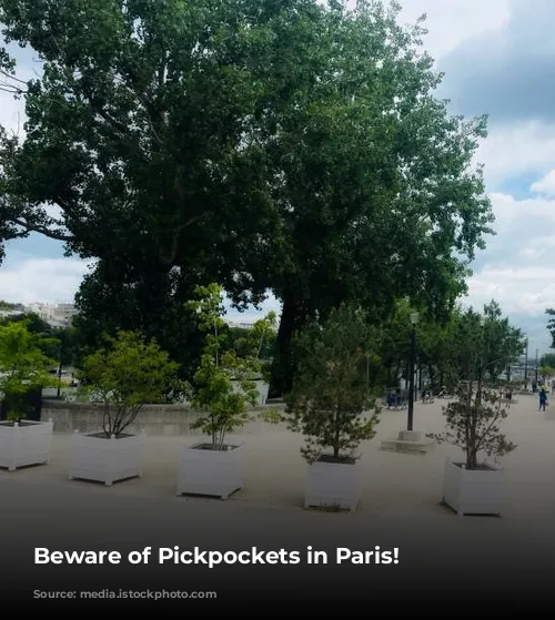 Beware of Pickpockets in Paris!