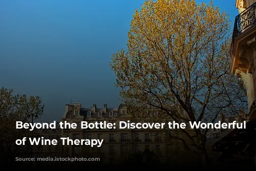 Beyond the Bottle: Discover the Wonderful World of Wine Therapy