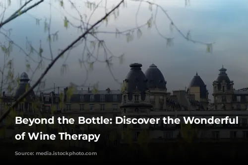 Beyond the Bottle: Discover the Wonderful World of Wine Therapy