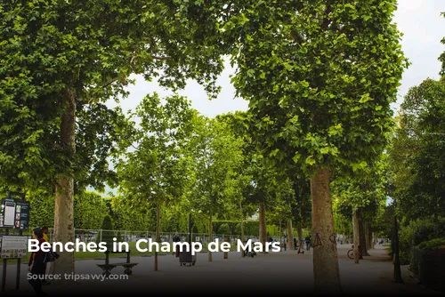 Benches in Champ de Mars