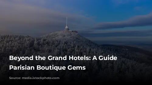 Beyond the Grand Hotels: A Guide to Parisian Boutique Gems