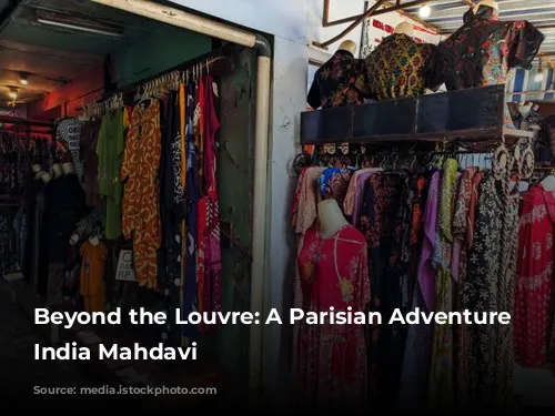 Beyond the Louvre: A Parisian Adventure with India Mahdavi