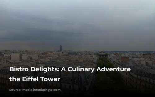 Bistro Delights: A Culinary Adventure Near the Eiffel Tower