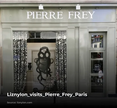 Liznylon_visits_Pierre_Frey_Paris