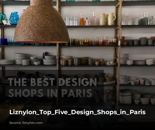 Liznylon_Top_Five_Design_Shops_in_Paris