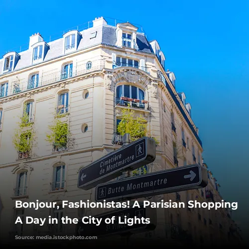 Bonjour, Fashionistas! A Parisian Shopping Spree: A Day in the City of Lights