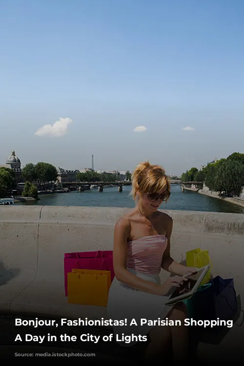 Bonjour, Fashionistas! A Parisian Shopping Spree: A Day in the City of Lights