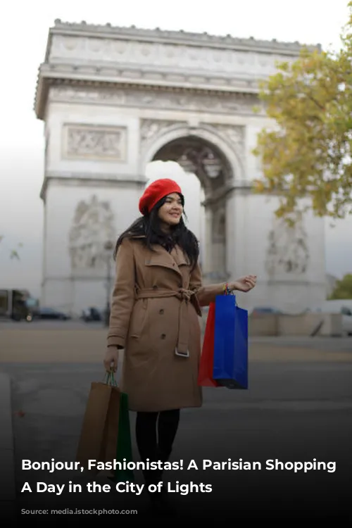 Bonjour, Fashionistas! A Parisian Shopping Spree: A Day in the City of Lights