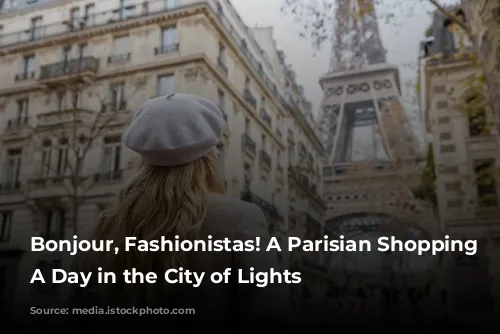 Bonjour, Fashionistas! A Parisian Shopping Spree: A Day in the City of Lights