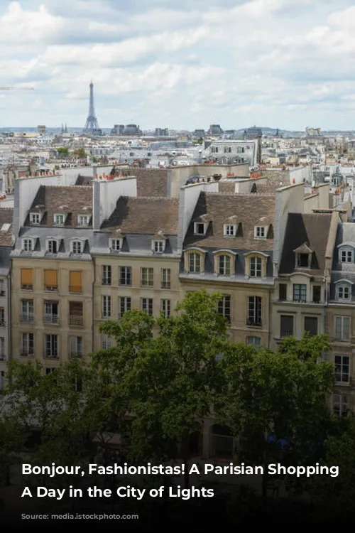 Bonjour, Fashionistas! A Parisian Shopping Spree: A Day in the City of Lights