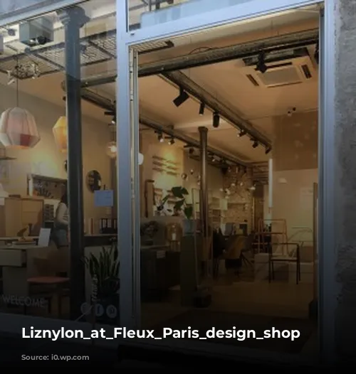 Liznylon_at_Fleux_Paris_design_shop