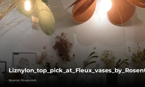 Liznylon_top_pick_at_Fleux_vases_by_Rosenthal