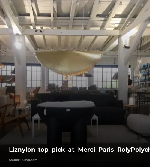 Liznylon_top_pick_at_Merci_Paris_RolyPolychair_by_FayeTooGood