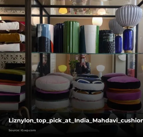 Liznylon_top_pick_at_India_Mahdavi_cushions_and_lights