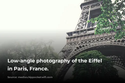 Low-angle photography of the Eiffel Tower in Paris, France.