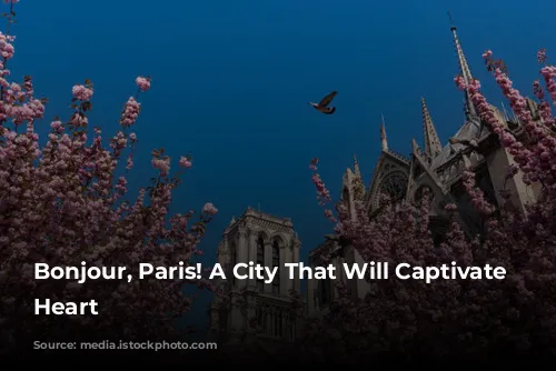 Bonjour, Paris! A City That Will Captivate Your Heart