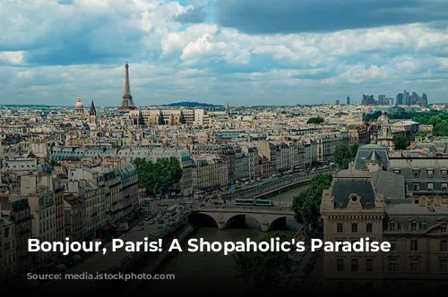 Bonjour, Paris! A Shopaholic's Paradise Awaits