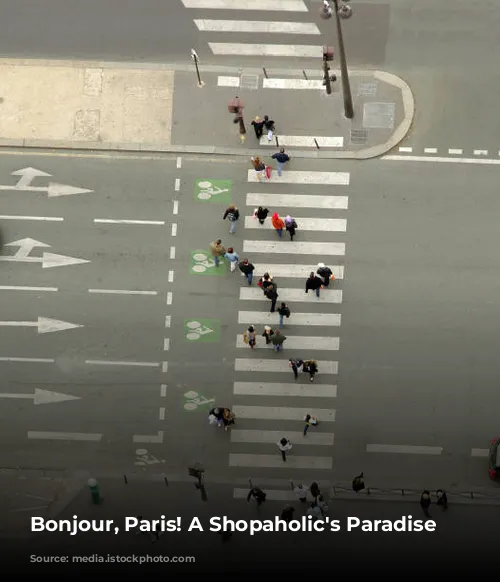 Bonjour, Paris! A Shopaholic's Paradise Awaits