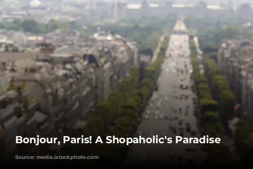 Bonjour, Paris! A Shopaholic's Paradise Awaits